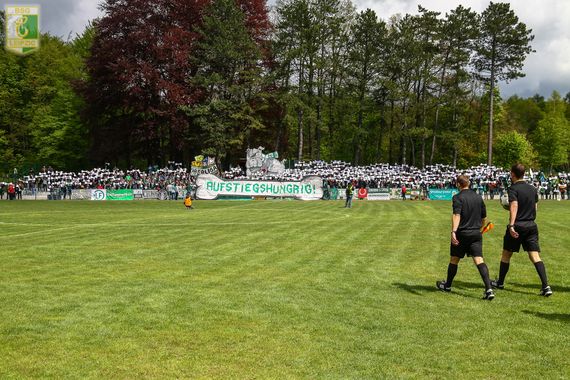 VfL Hohenstein-Ernstthal vs BSG Chemie Leipzig (0-1)