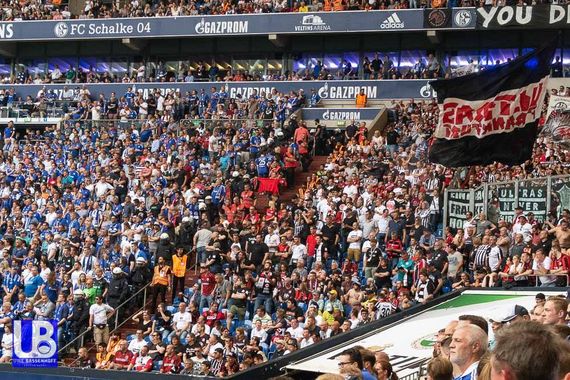 FC Schalke 04 vs Eintracht Frankfurt (1-0)