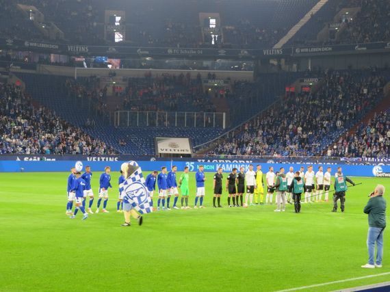 FC Schalke 04 vs FC Ingolstadt 04 (3-0)