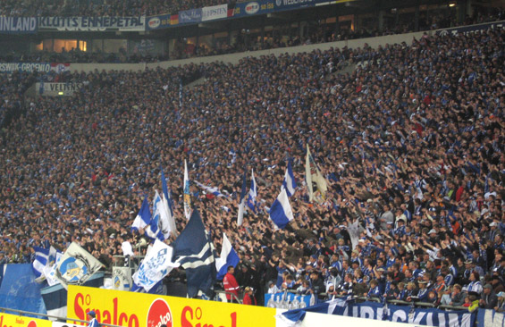 FC Schalke 04 vs 1. FSV Mainz 05 (4-0)