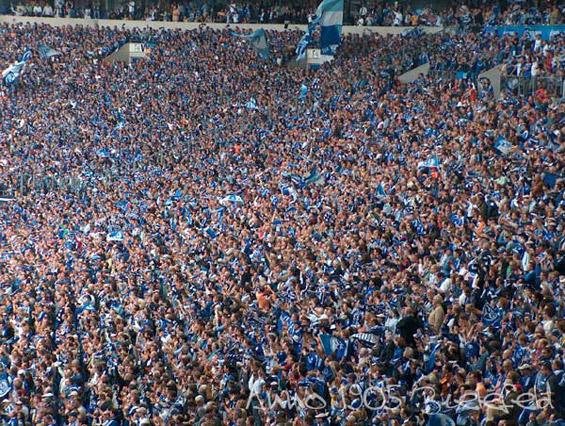 FC Schalke 04 vs DSC Arminia Bielefeld (2-0)