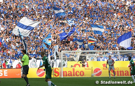 FC Schalke 04 vs VfL Wolfsburg (2-0)