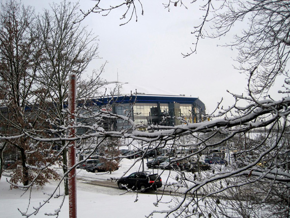 FC Schalke 04 vs 1. FC Köln (3-0)