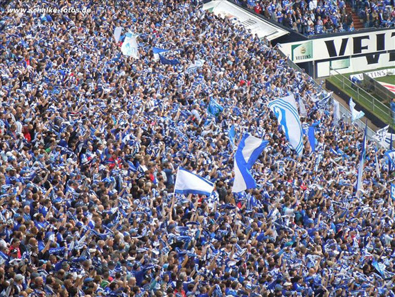 FC Schalke 04 vs VfL Wolfsburg (1-0)