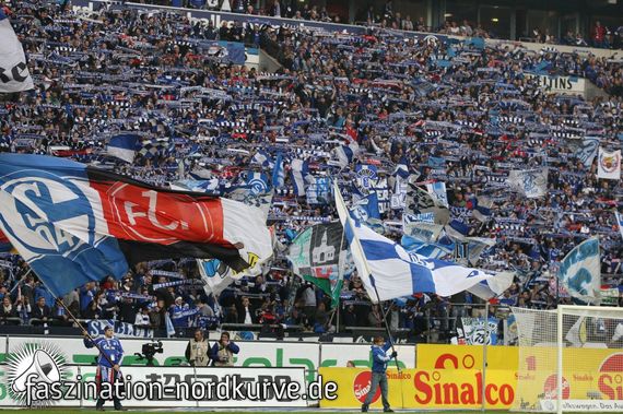 FC Schalke 04 vs 1. FC Nürnberg (2-2)