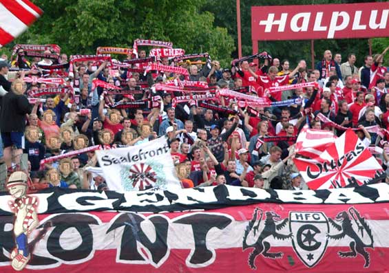 Hallescher FC vs VfB Germania Halberstadt (2-1)