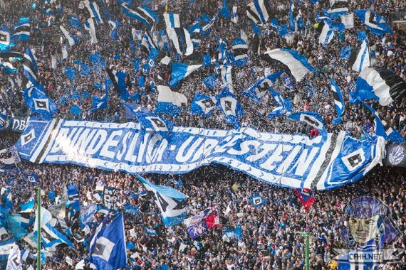 Hamburger SV vs VfL Wolfsburg (1-3)