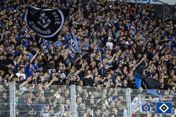 SV Darmstadt 98 vs Hamburger SV (1-1)