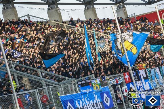 FC Ingolstadt 04 vs Hamburger SV (3-1)
