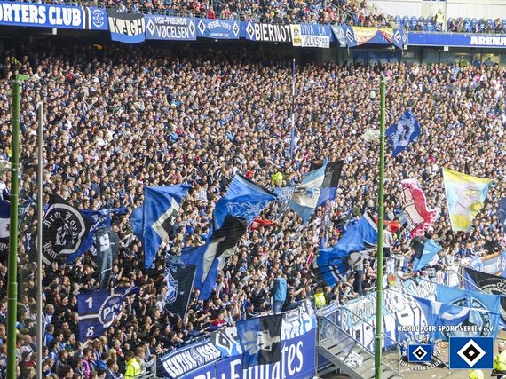 Hamburger SV vs TSG Hoffenheim (2-1)