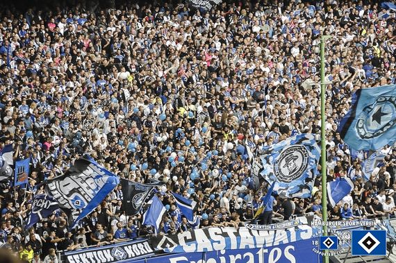 Hamburger SV vs FC Augsburg (1-0)