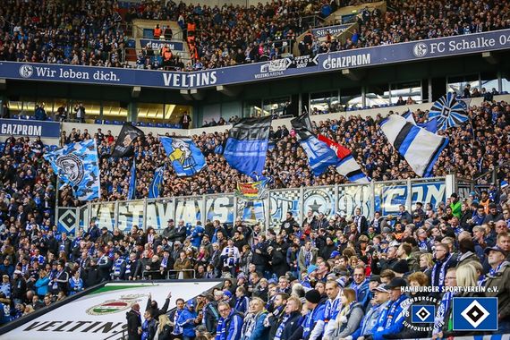FC Schalke 04 vs Hamburger SV (2-0)