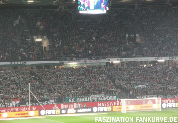 Hannover 96 vs 1. FC Köln (1-0)
