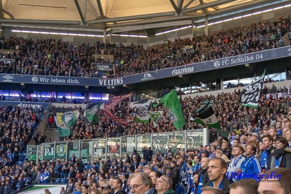 FC Schalke 04 vs Hannover 96 (3-1)