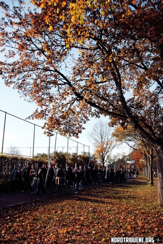 SC Freiburg vs FC Schalke 04 (2-0)