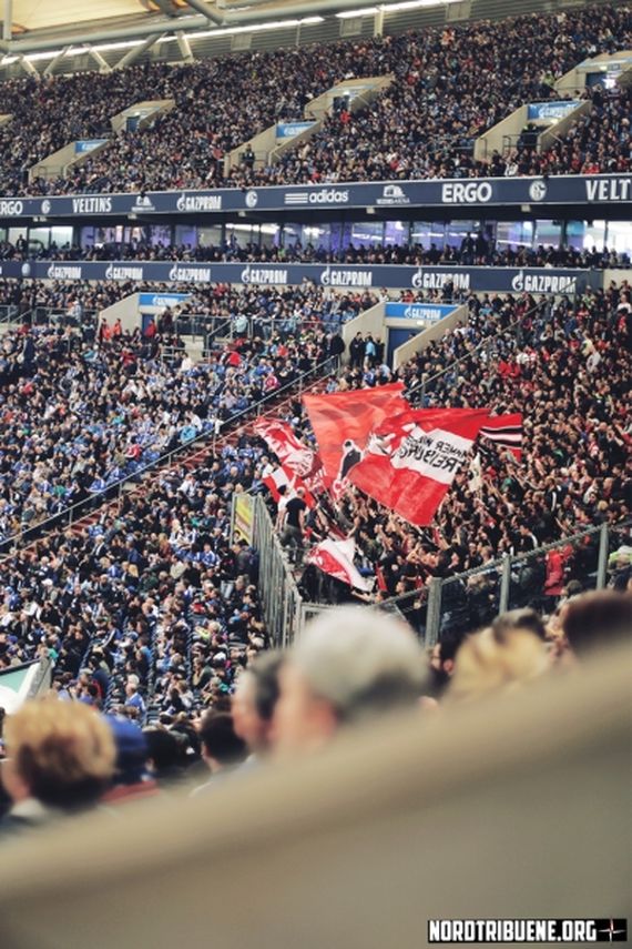 FC Schalke 04 vs SC Freiburg (0-0)