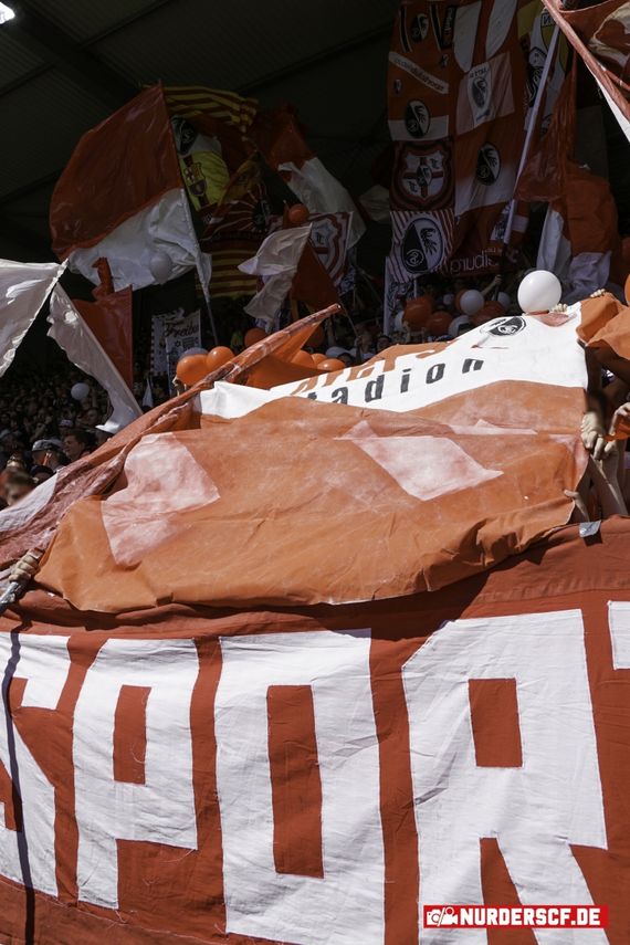 SC Freiburg vs FC Ingolstadt 04 (1-1)