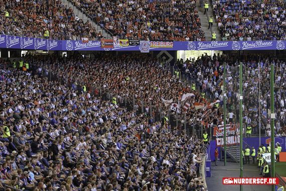 Hamburger SV vs SC Freiburg (1-0)