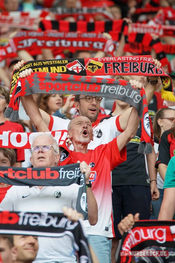 SC Freiburg vs 1. FC Köln (1-1)