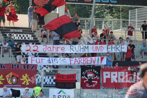 SG Sonnenhof-Großaspach vs Hallescher FC (3-0)