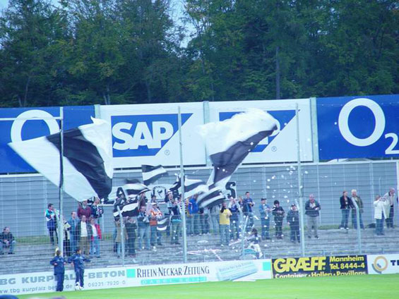 TSG Hoffenheim vs SV 07 Elversberg (0-1)