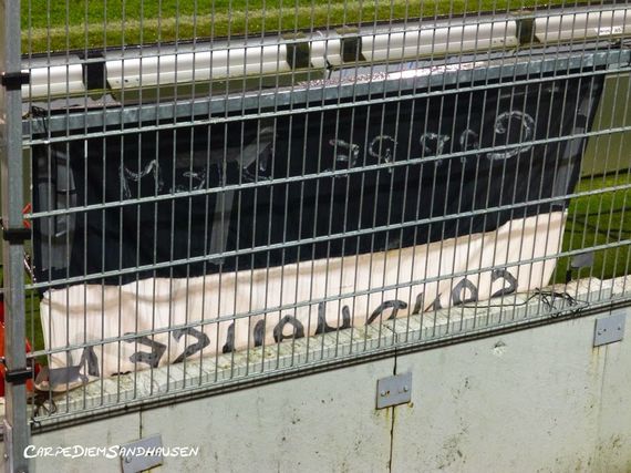 SV Sandhausen vs SV Darmstadt 98 (1-2)