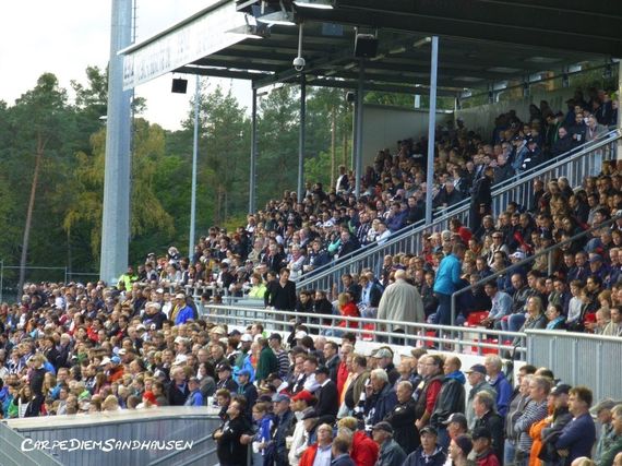 SV Sandhausen vs TSV 1860 München (1-1)