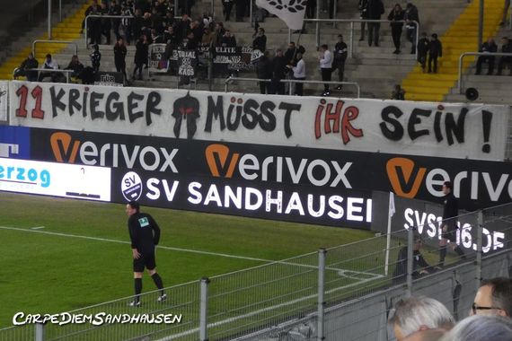 SV Sandhausen vs SV Darmstadt 98 (1-1)