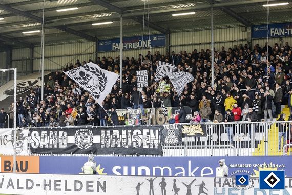 SV Sandhausen vs Hamburger SV (1-1)