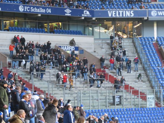FC Schalke 04 vs SV Sandhausen (3-0)