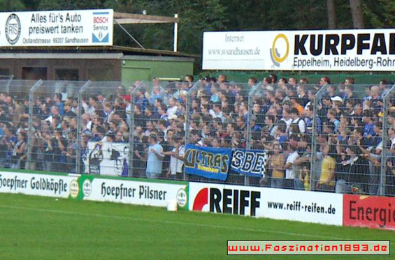 SV Sandhausen vs SV Waldhof Mannheim 07 (1-1)