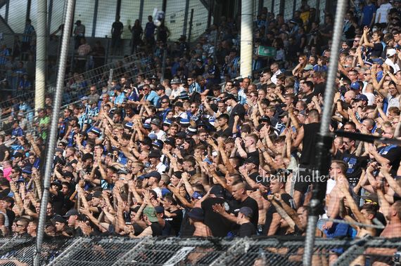 SV Waldhof Mannheim 07 vs Hallescher FC (2-1)