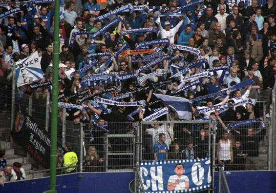 Hamburger SV vs TSG Hoffenheim (1-0)