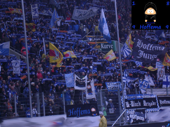 TSG Hoffenheim vs Werder Bremen (0-1)