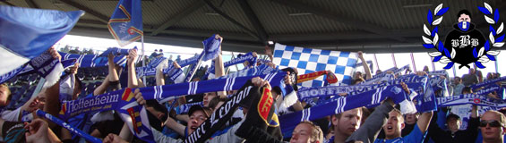 Hannover 96 vs TSG Hoffenheim (0-1)