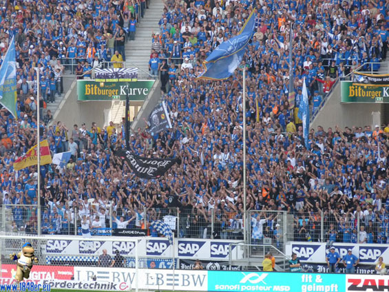 TSG Hoffenheim vs VfL Bochum (3-0)