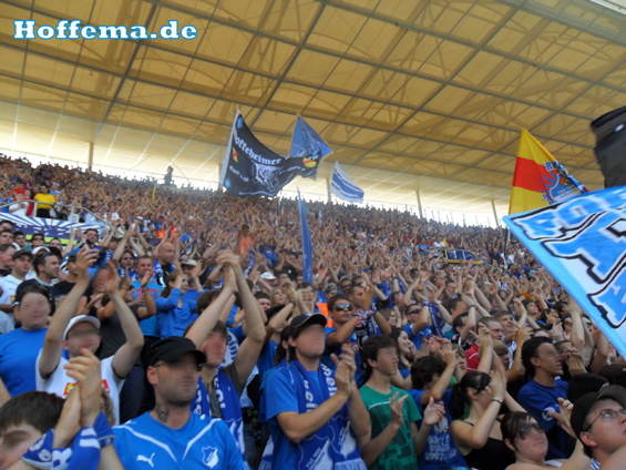 TSG Hoffenheim vs Werder Bremen (4-1)