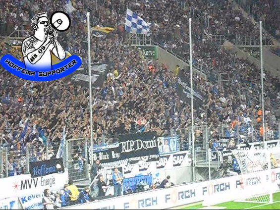 TSG Hoffenheim vs FC Schalke 04 (2-0)