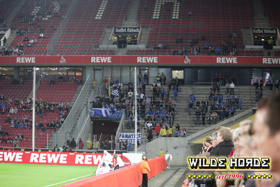 1. FC Köln vs TSG Hoffenheim (1-1)