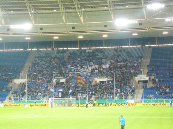 TSG Hoffenheim vs FC Ingolstadt 04 (1-0)