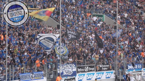 TSG Hoffenheim vs VfL Wolfsburg (3-1)