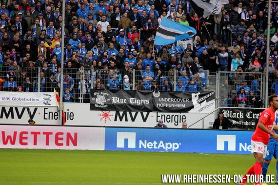 TSG Hoffenheim vs 1. FSV Mainz 05 (2-4)