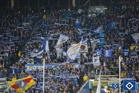 TSG Hoffenheim vs Hamburger SV (0-1)