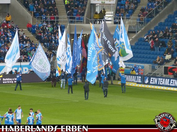 TSG Hoffenheim vs Bayer 04 Leverkusen (1-1)