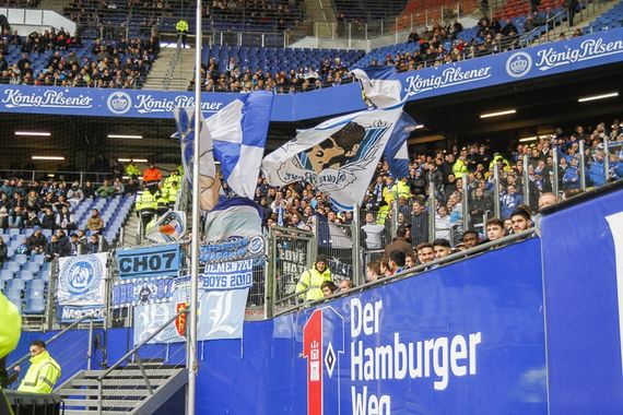 Hamburger SV vs TSG Hoffenheim (1-3)