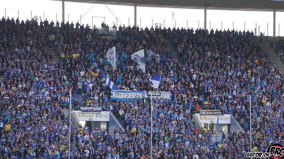 TSG Hoffenheim vs FC Ingolstadt 04 (2-1)