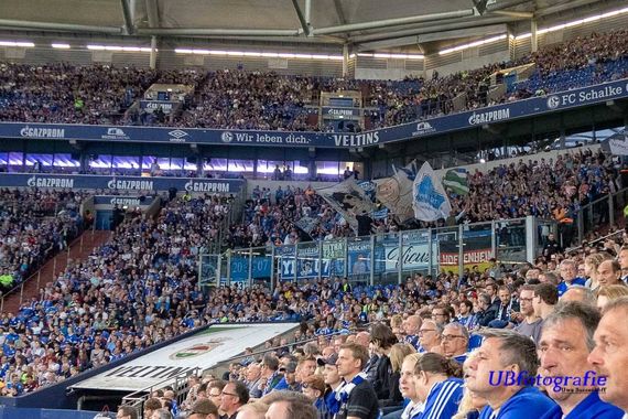 FC Schalke 04 vs TSG Hoffenheim (2-5)