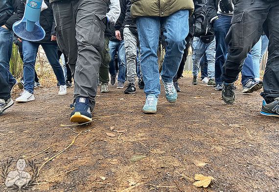 RB Leipzig vs TSG Hoffenheim (3-1)