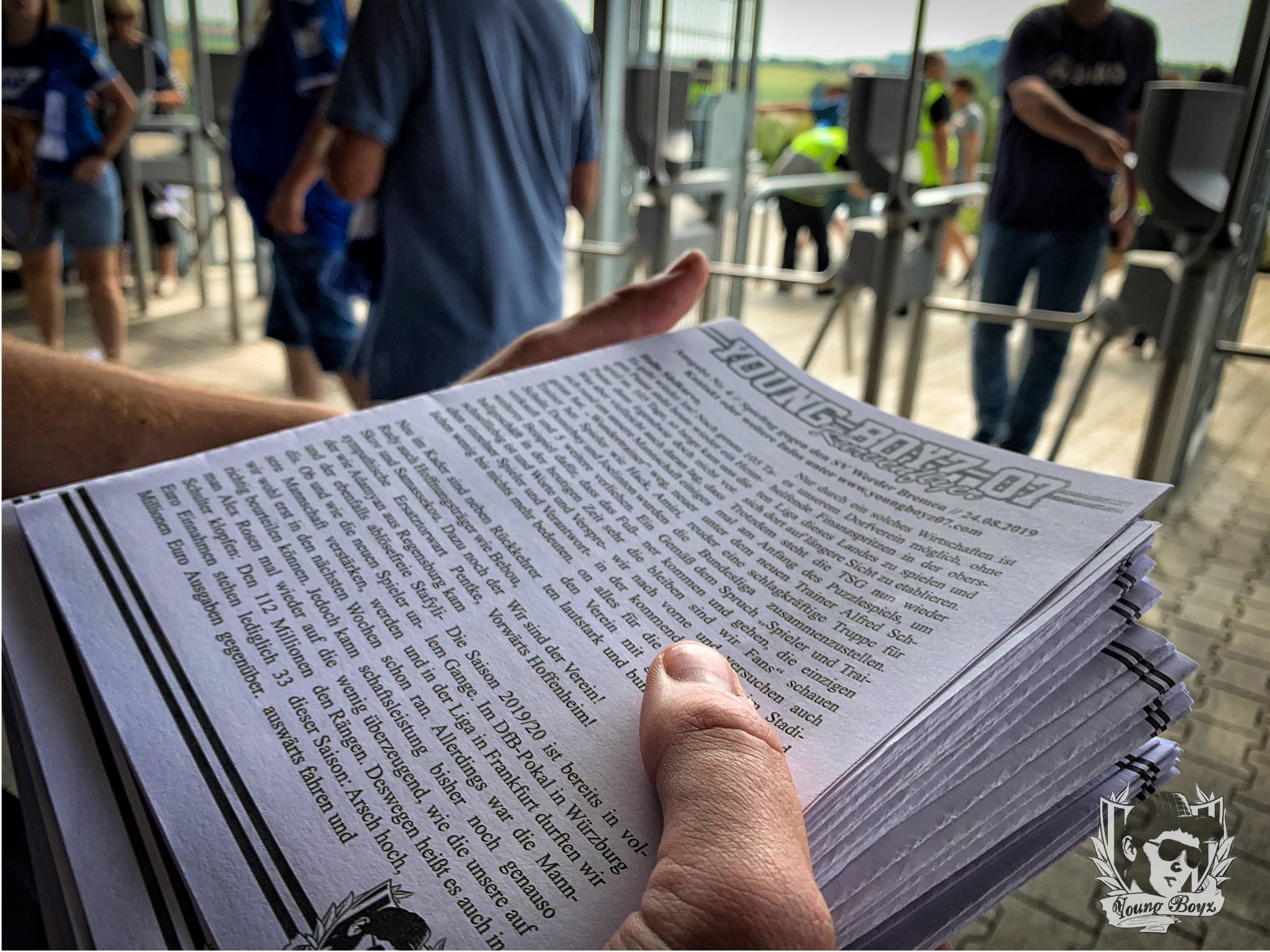 TSG Hoffenheim vs Werder Bremen (3-2)