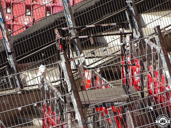VfB Stuttgart vs SC Freiburg (2-3)